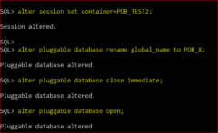 Guide to Modify Pluggable CDB Name, PDB Name, and DBID in Oracle 18c ...