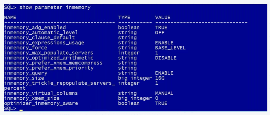 19c In-Memory columns have various parameters.